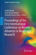 Proceedings of the First International Conference on Recent Advances in Bioenergy Research