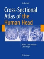 Cross-Sectional Atlas of the Human Head