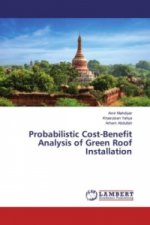 Probabilistic Cost-Benefit Analysis of Green Roof Installation