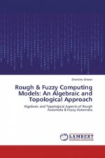 Rough & Fuzzy Computing Models: An Algebraic and Topological Approach