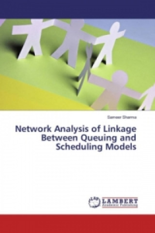 Network Analysis of Linkage Between Queuing and Scheduling Models