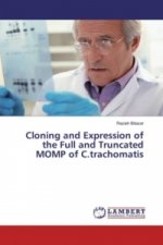 Cloning and Expression of the Full and Truncated MOMP of C.trachomatis