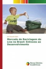 Mercado de Reciclagem do Lixo no Brasil: Entraves ao Desenvolvimento