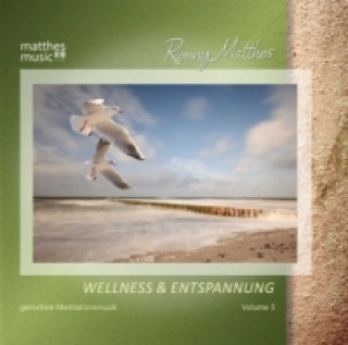Wellness & Entspannung. Vol.3, 1 Audio-CD