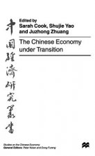 Chinese Economy under Transition