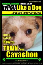 Cavachon, Cavachon Training AAA Akc Think Like a Dog, But Do