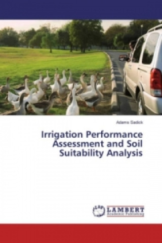 Irrigation Performance Assessment and Soil Suitability Analysis