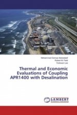 Thermal and Economic Evaluations of Coupling APR1400 with Desalination