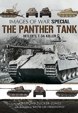 Panther Tank: Hitler's T-34 Killer