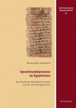 Sprachwandelprozesse im Ägyptischen