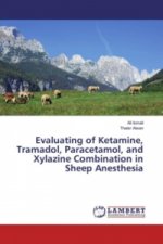 Evaluating of Ketamine, Tramadol, Paracetamol, and Xylazine Combination in Sheep Anesthesia