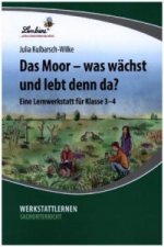 Das Moor - was wächst und lebt denn da?