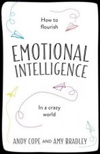 Little Book of Emotional Intelligence