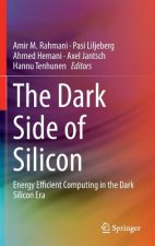 Dark Side of Silicon