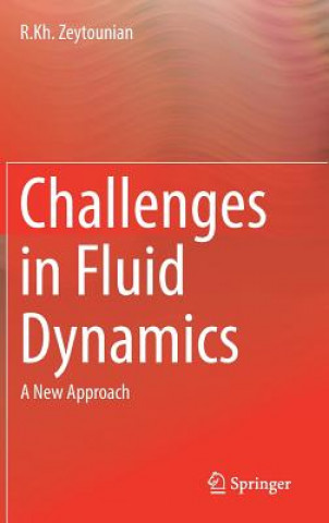 Challenges in Fluid Dynamics