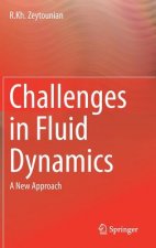 Challenges in Fluid Dynamics