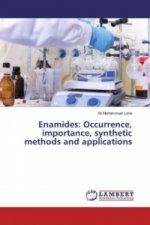Enamides: Occurrence, importance, synthetic methods and applications
