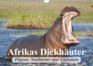 Afrikas Dickhäuter. Hippos, Nashörner und Elefanten (Wandkalender 2017 DIN A4 quer)