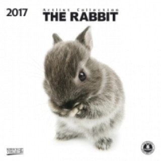The Rabbit 2017