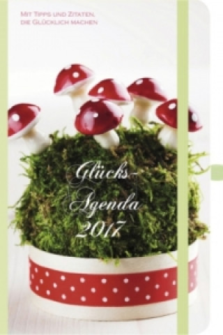 Glücks-Agenda 2017