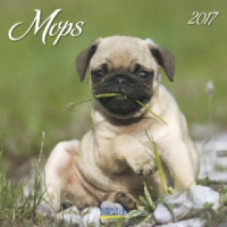 Mops 2017