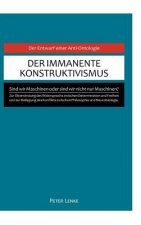 immanente Konstruktivismus