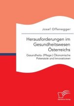 Herausforderungen im Gesundheitswesen OEsterreichs. Gesundheits- (Pflege-) OEkonomische Potenziale und Innovationen