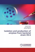 Isolation and production of amylase from bacterial strain HS-6