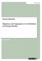 Migration und Segregation in Grossstadten am Beispiel Berlins