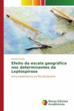 Efeito da escala geográfica nos determinantes da Leptospirose