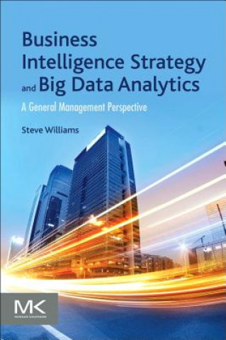 Business Intelligence Strategy and Big Data Analytics