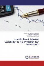 Islamic Stock Market Volatility: Is it a Problem for Investors?