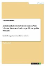 Kommunikation im Unternehmen. Wie koennen Kommunikationsprobleme geloest werden?