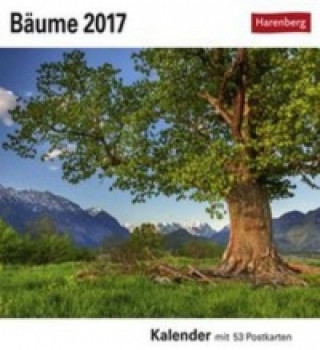 Bäume 2017