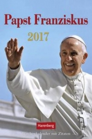 Papst Franziskus 2017