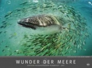 Edition Humboldt - Wunder der Meere 2017