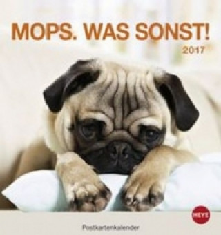 Mops Postkartenkalender 2017