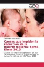 Causas que impiden la reducción de la muerte materna Santa Elena 2013