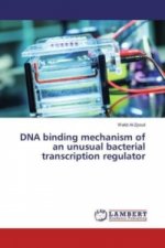 DNA binding mechanism of an unusual bacterial transcription regulator