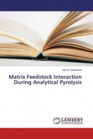 Matrix Feedstock Interaction During Analytical Pyrolysis
