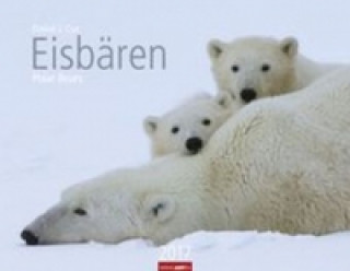 Eisbären - Kalender 2017