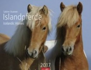 Islandpferde - Kalender 2017