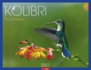Kolibri - Kalender 2017