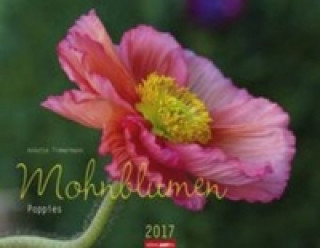 Mohnblumen - Kalender 2017