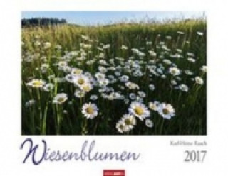 Wiesenblumen - Kalender 2017