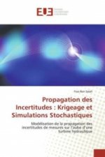 Propagation des Incertitudes : Krigeage et Simulations Stochastiques