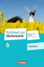 Schlüssel zur Mathematik - Differenzierende Ausgabe Schleswig-Holstein - 6. Schuljahr