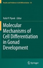 Molecular Mechanisms of Cell Differentiation in Gonad Development