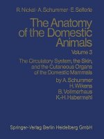 Circulatory System, the Skin, and the Cutaneous Organs of the Domestic Mammals