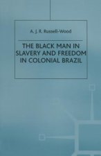 Black Man in Slavery and Freedom in Colonial Brazil